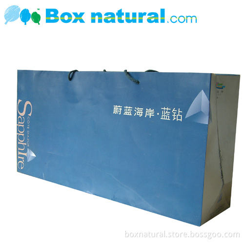 Luxury Paper Bag/ Gift Bag/ Promotional Paper Bag